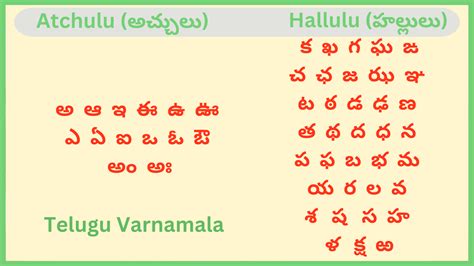 betcha meaning in telugu|Lingvanex .